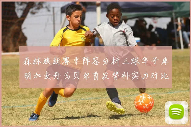 森林狼新赛季阵容分析三球华子库明加麦丹戈贝尔首发替补实力对比